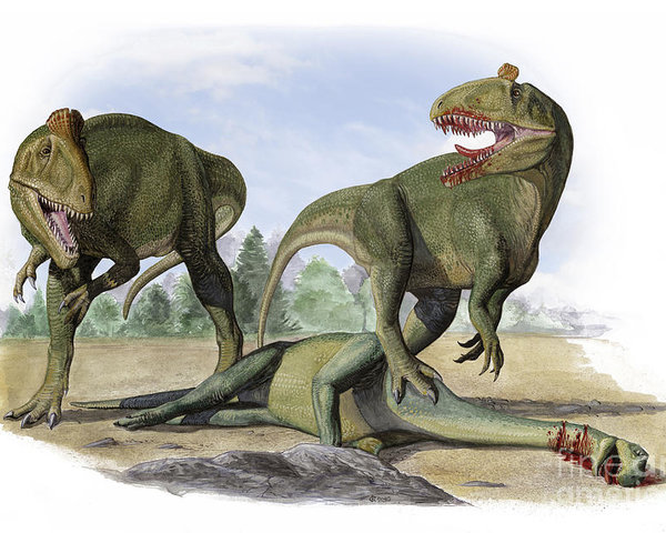 two-cryolophosaurus-ellioti-dinosaurs-sergey-krasovskiy.jpg