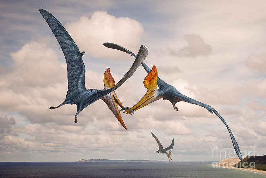 Two-geosternbergia-pterosaurs-fighting-sergey-krasovskiy.jpg