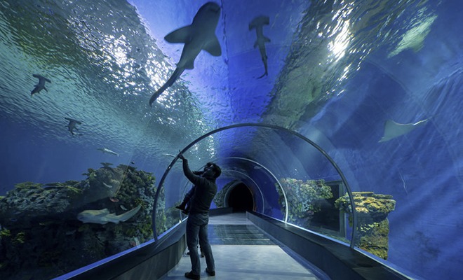 underwater tunnel.JPG