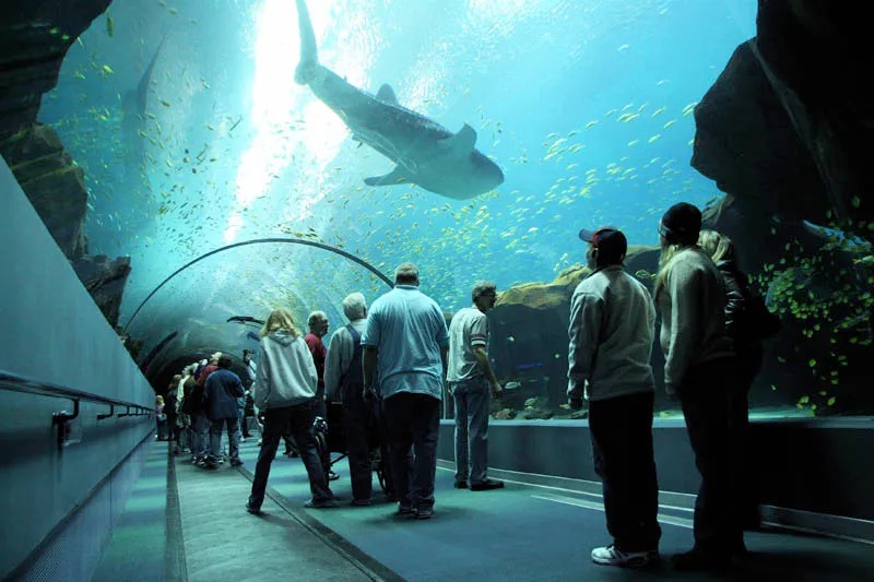 underwater viewing tunnel.JPG