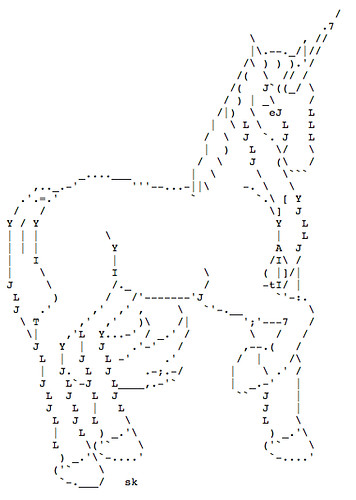 144234
