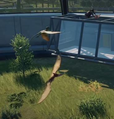 unknown.png