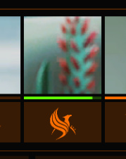Untitled9.jpg