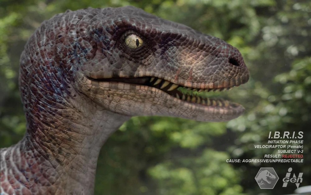 Untitledraptor.jpg