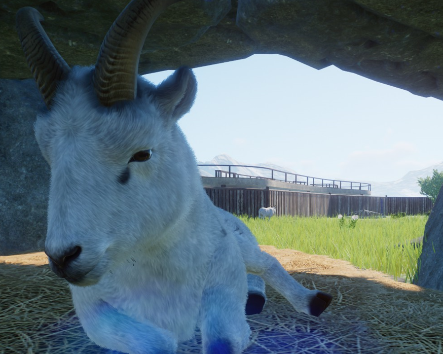 upload Dall Sheep 4.png