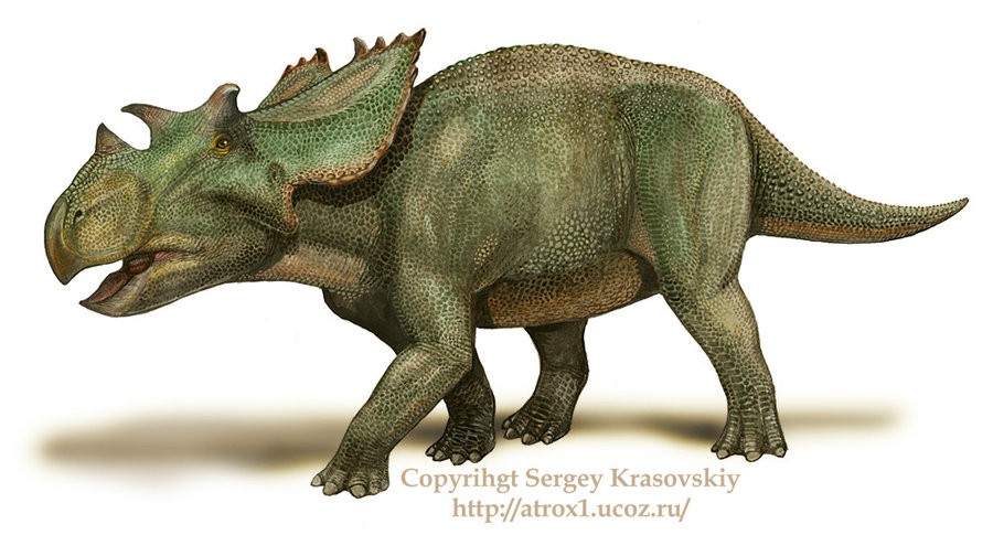 Utahceratops_by_atrox1_87ec.jpg