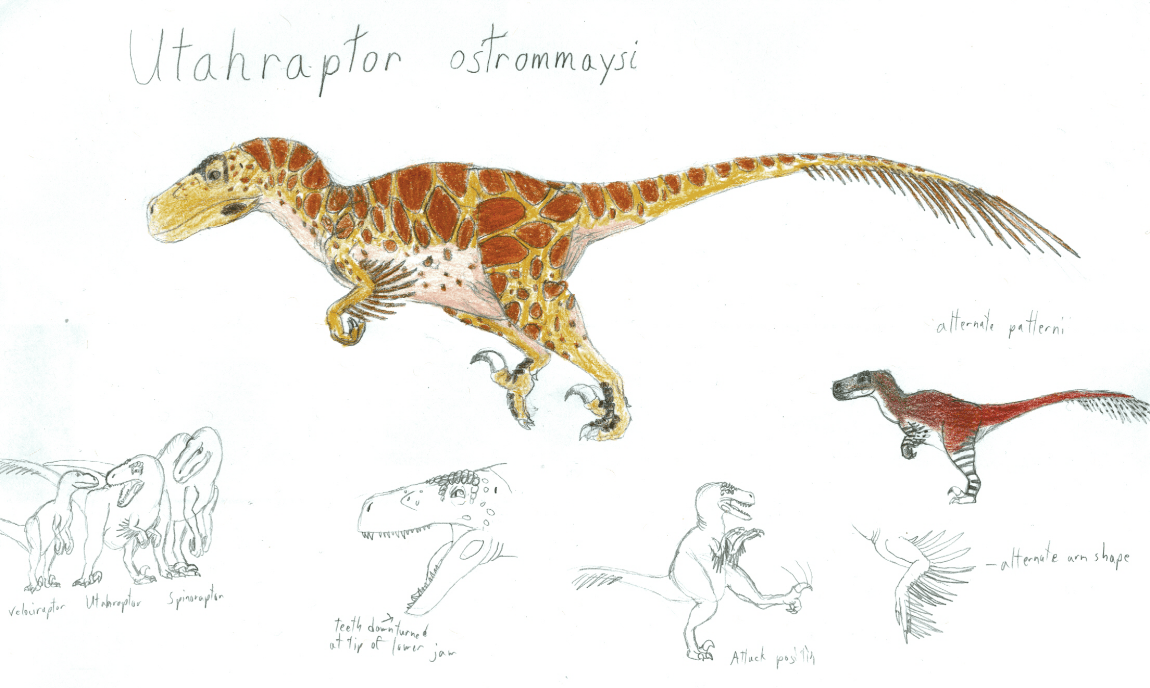 Utahraptor concept art compressed.png