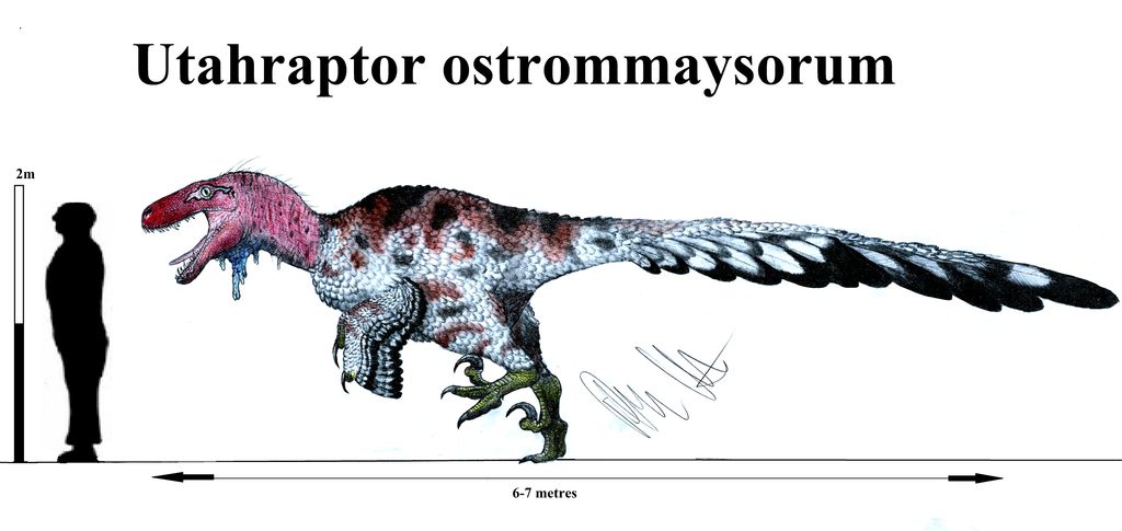 utahraptor_ostrommaysorum_2k17_by_teratophoneus_db567u0-fullview.jpg