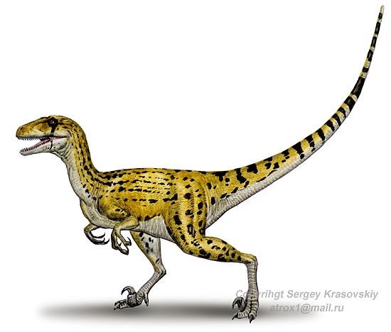 utahraptorSK_c0aa (1).jpg