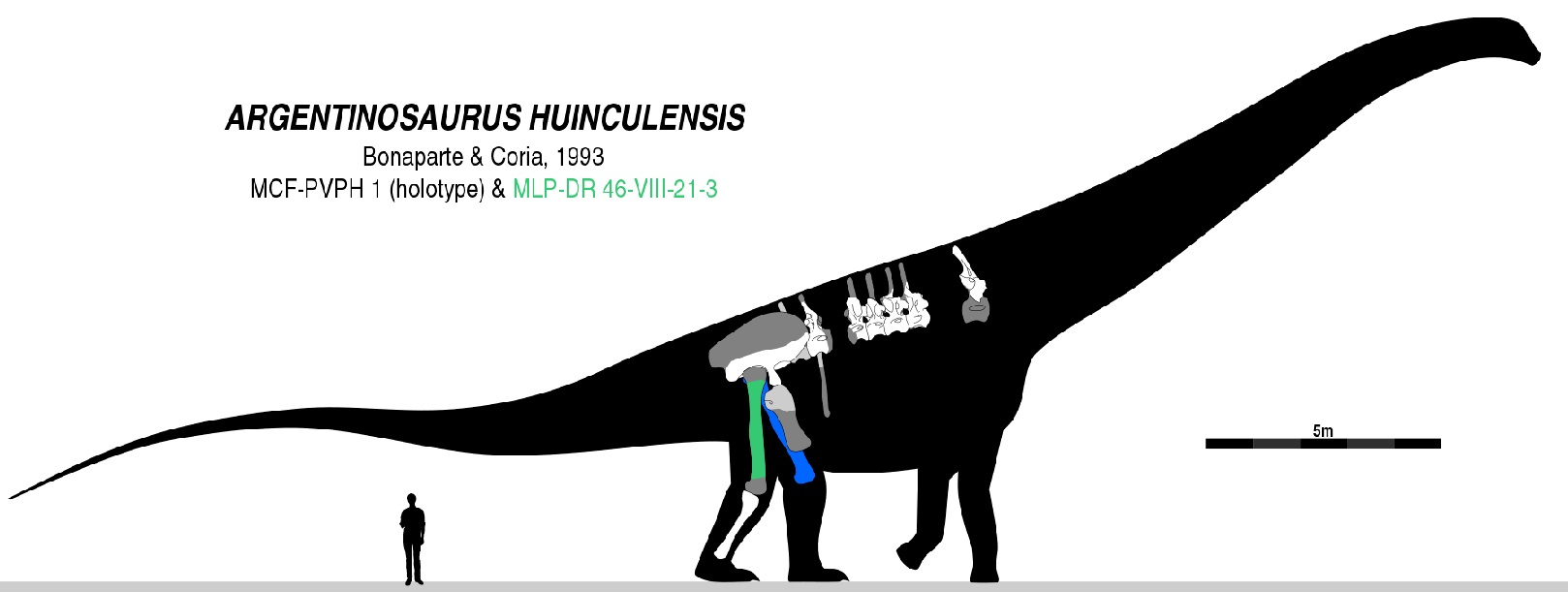 utikui.jpg