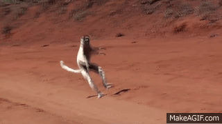 uWf3pA.gif