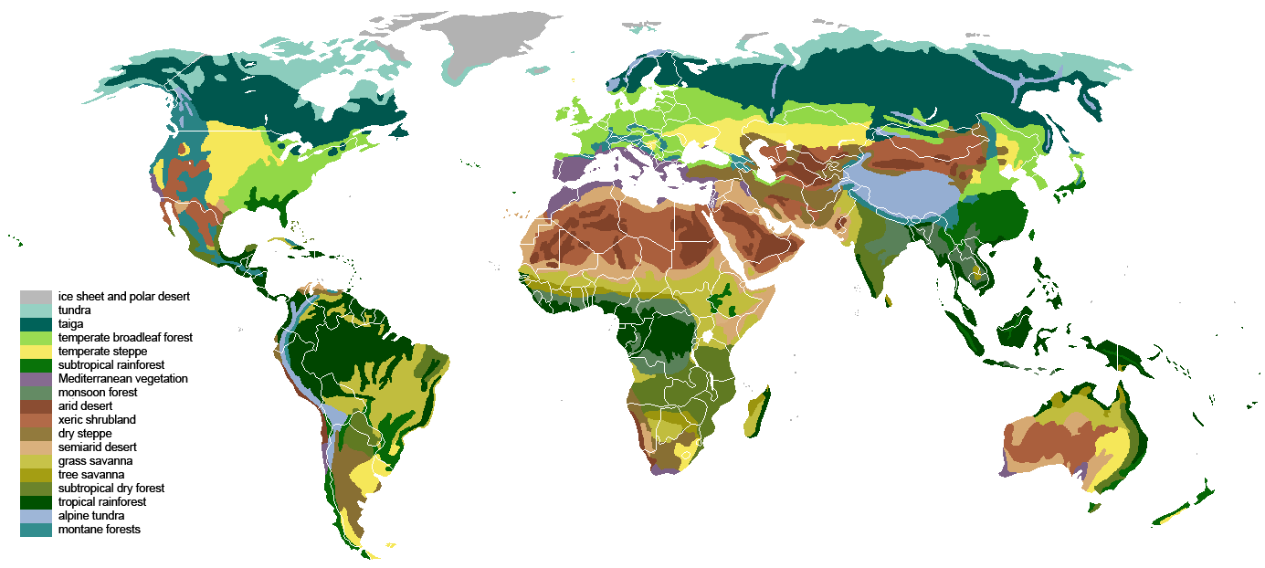 Vegetation(original).png