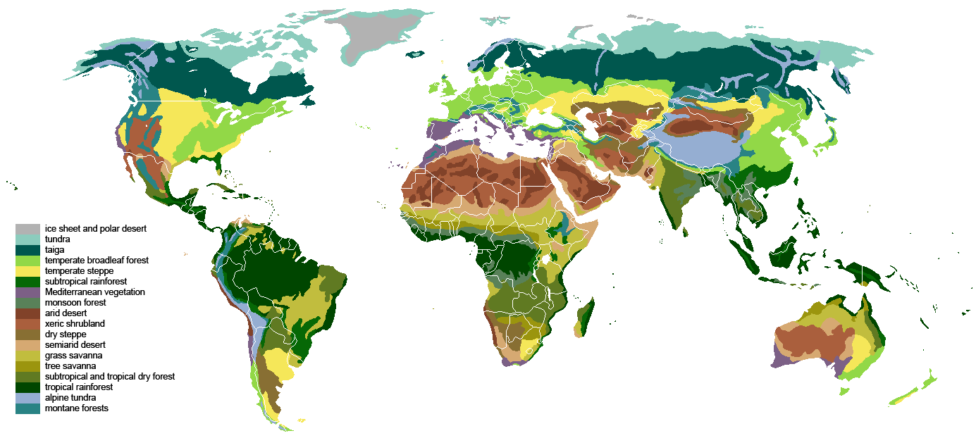 Vegetation9.png