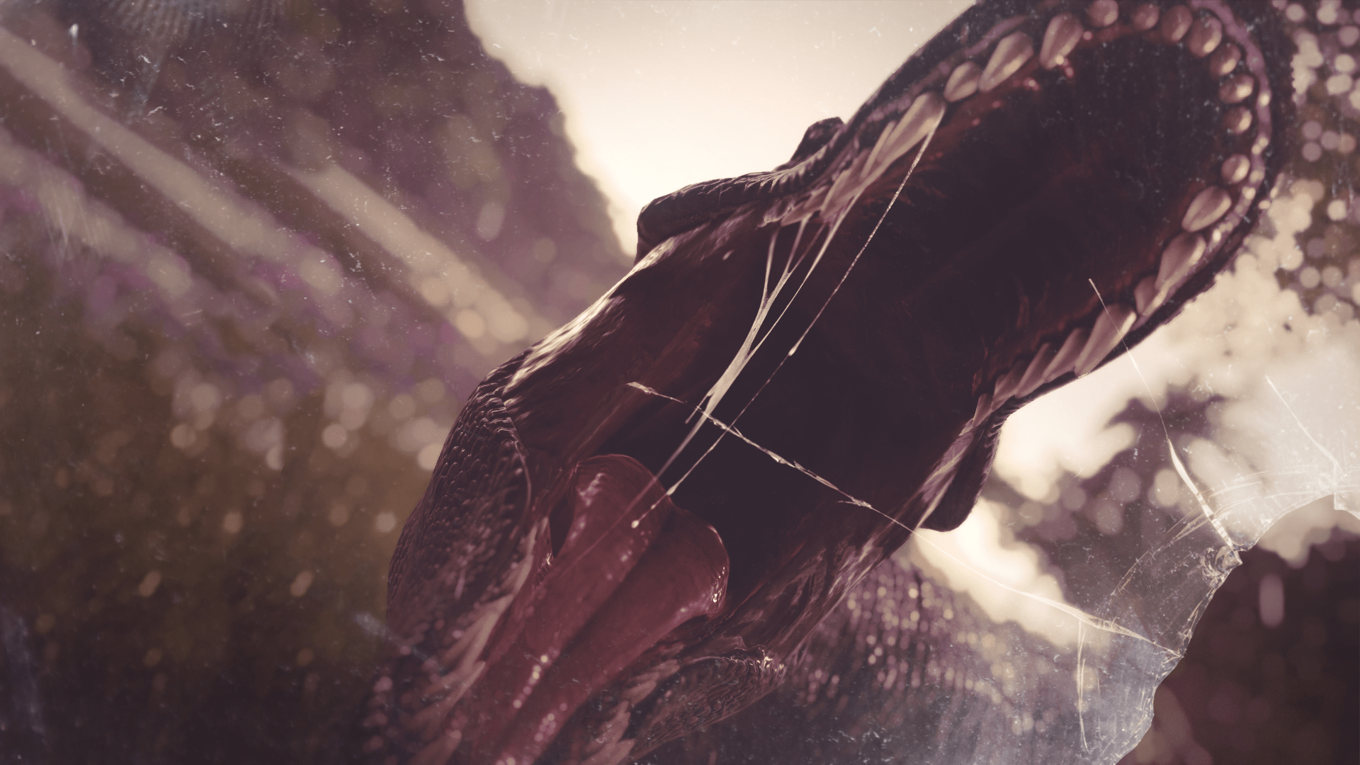 VIGNETTE_TREX_neutre 2.png