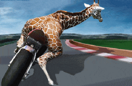 W3xK.gif
