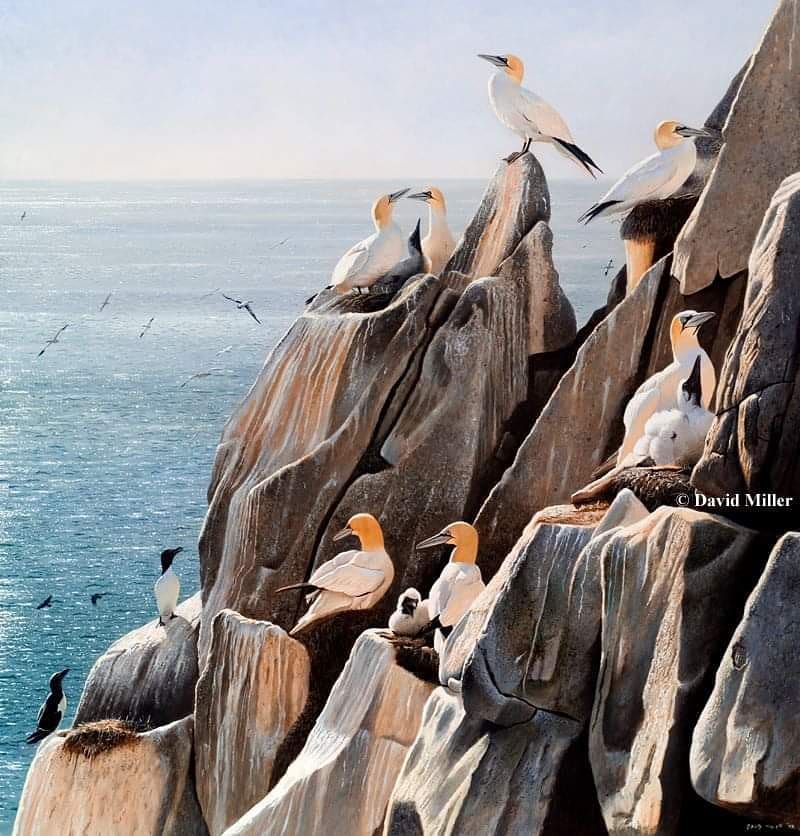 Wallartseabird2.jpg