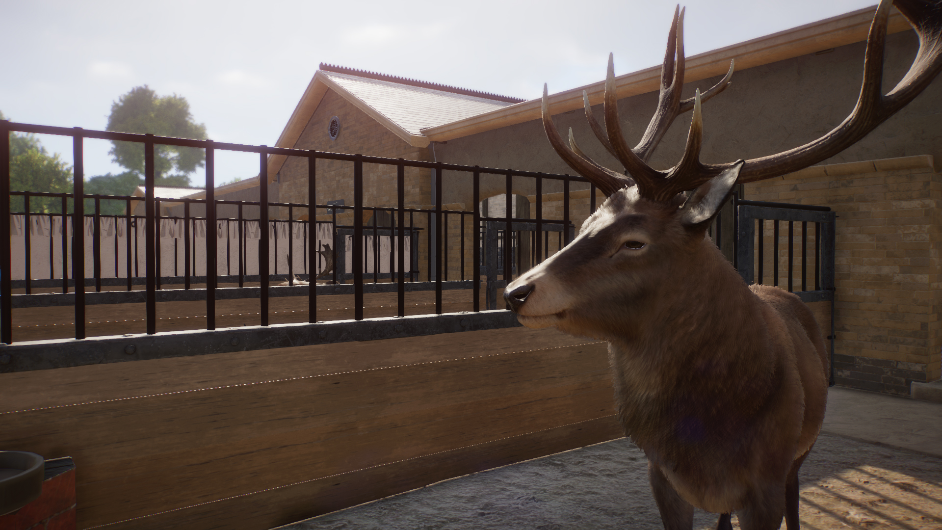 Wapiti Deer House.jpg
