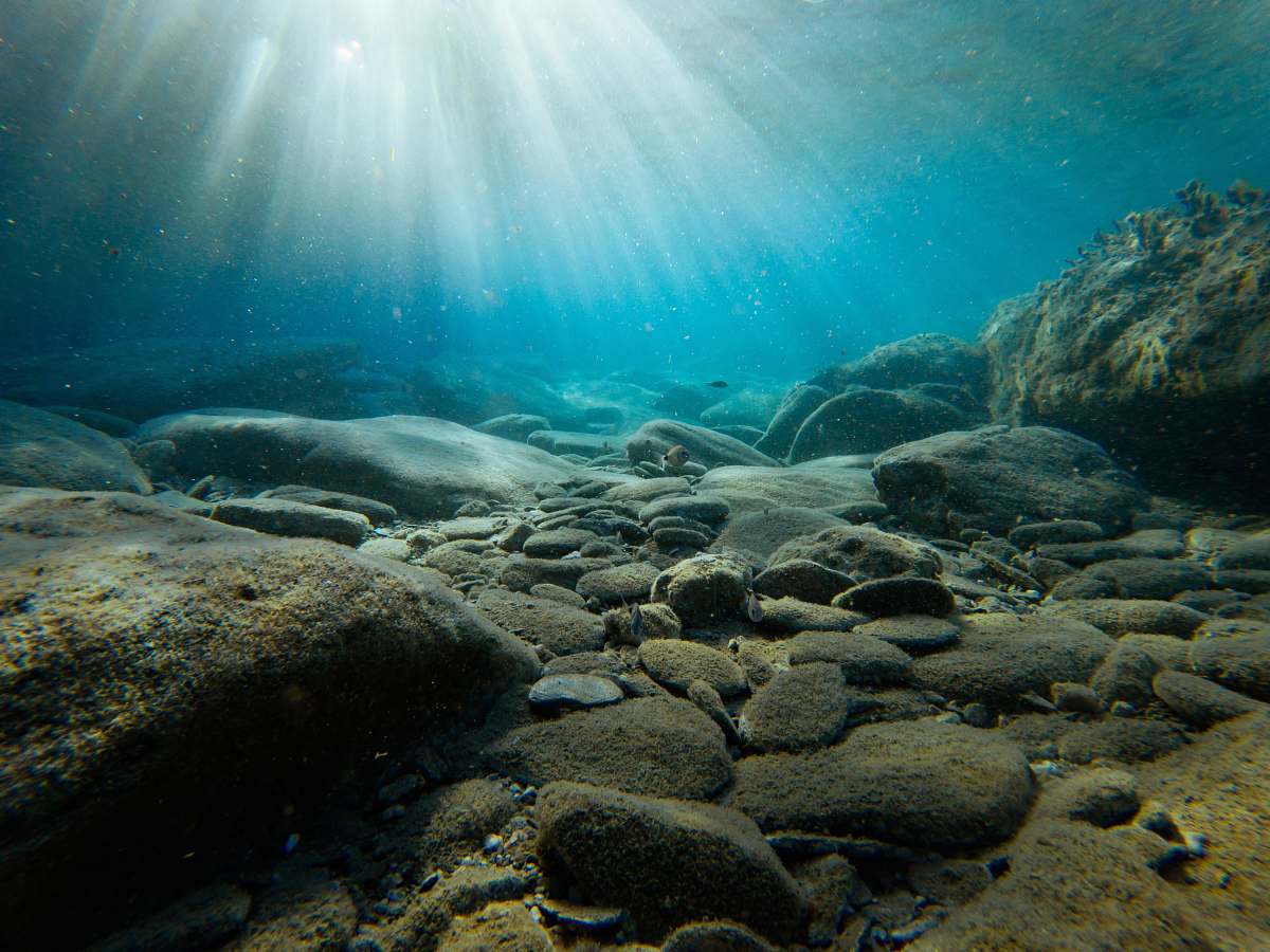 water-rocks-on-sea-bed-ocean-ocean-image.jpg
