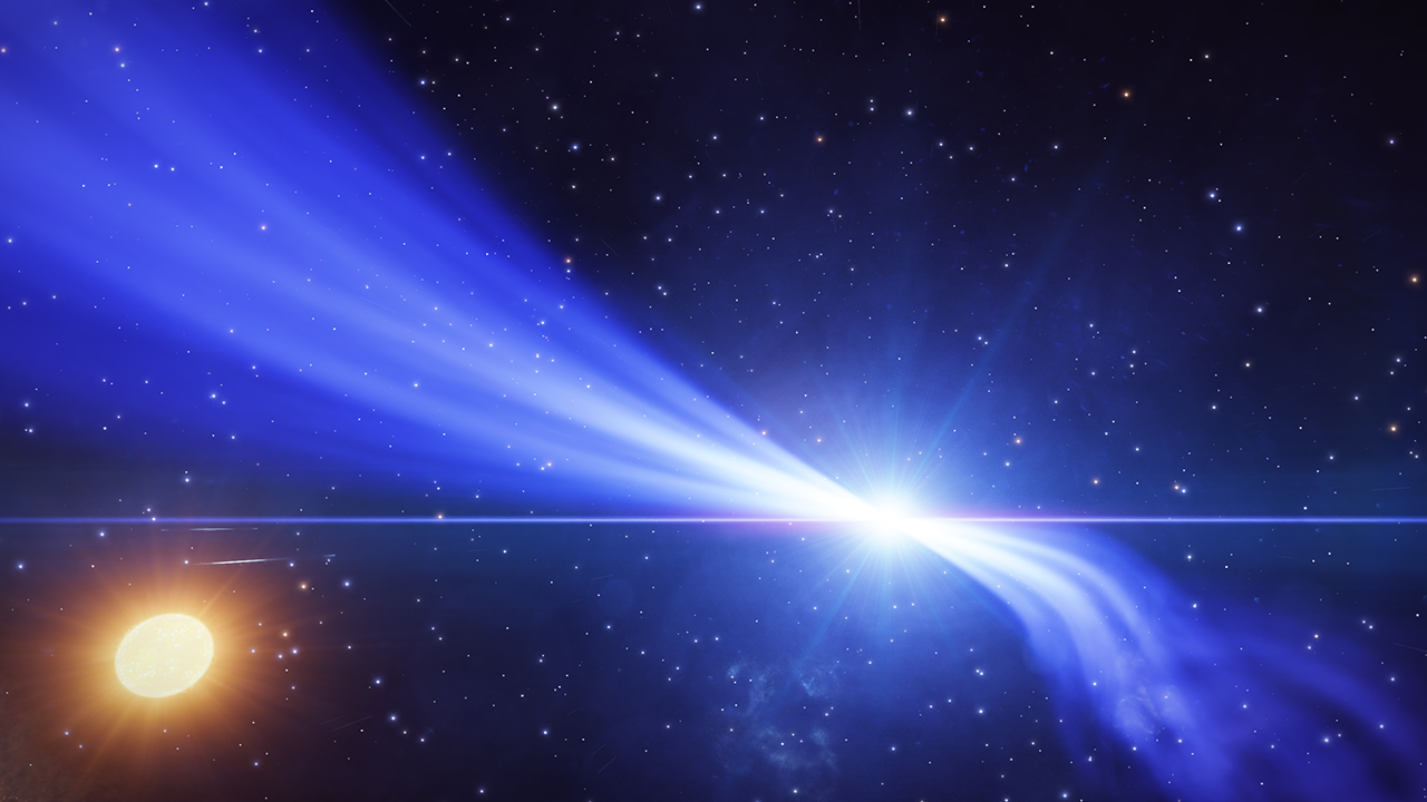 WD Star_02.jpg