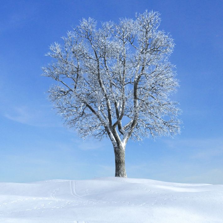 weather722.jpg