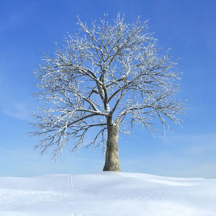 weather84.jpg