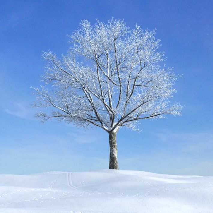 weather944.jpg