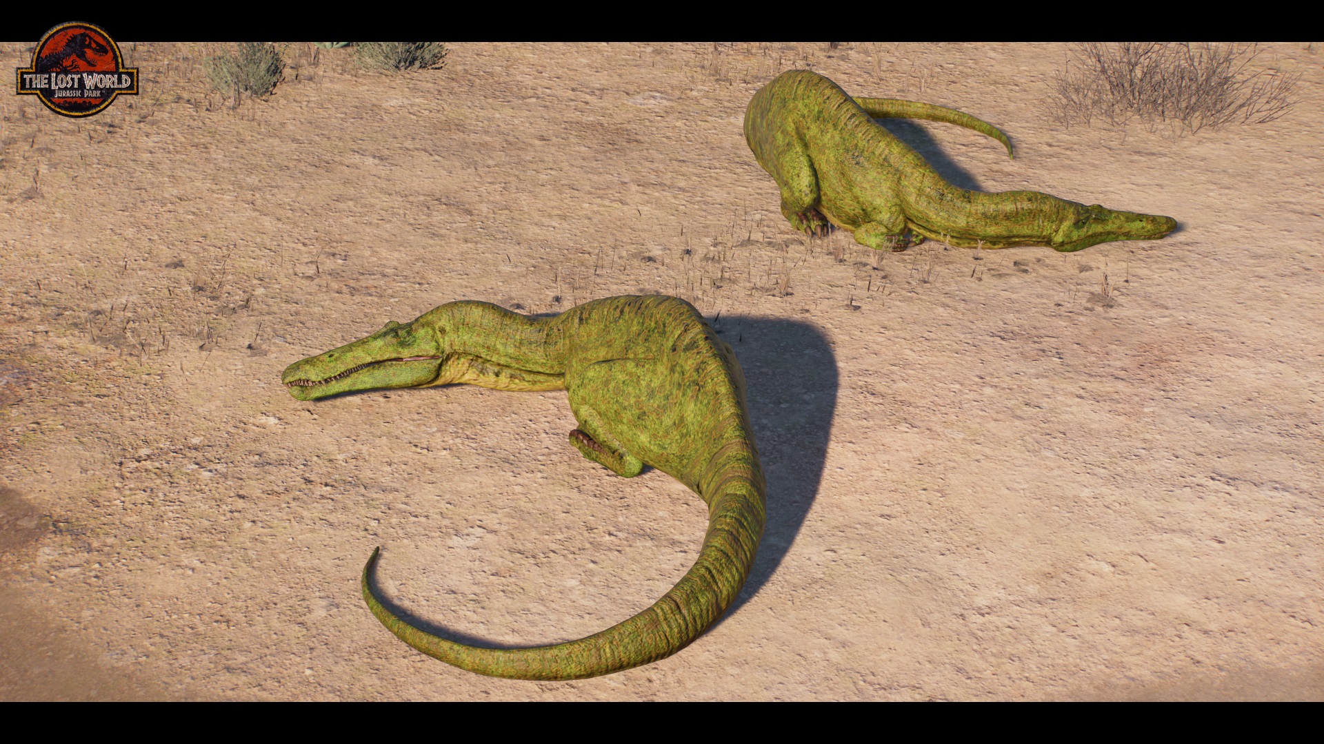 weird-looking rocks.jpg