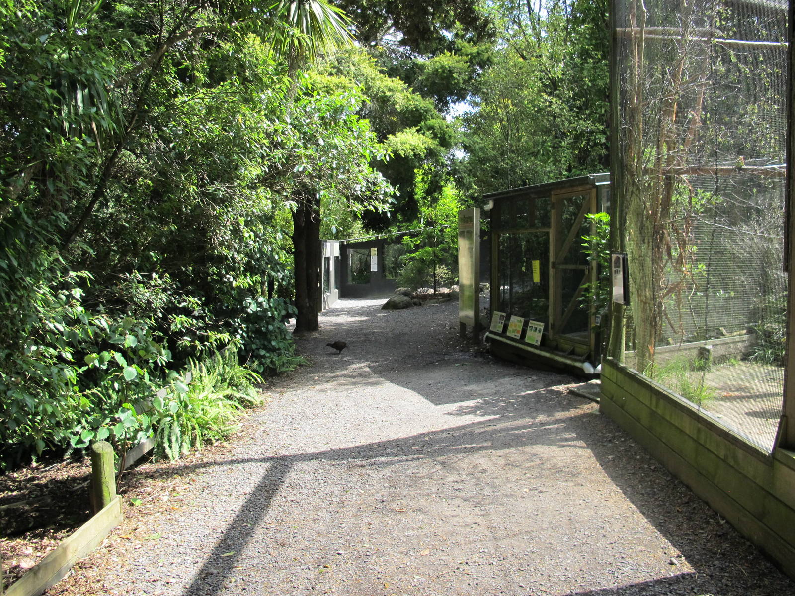 weka walk.JPG