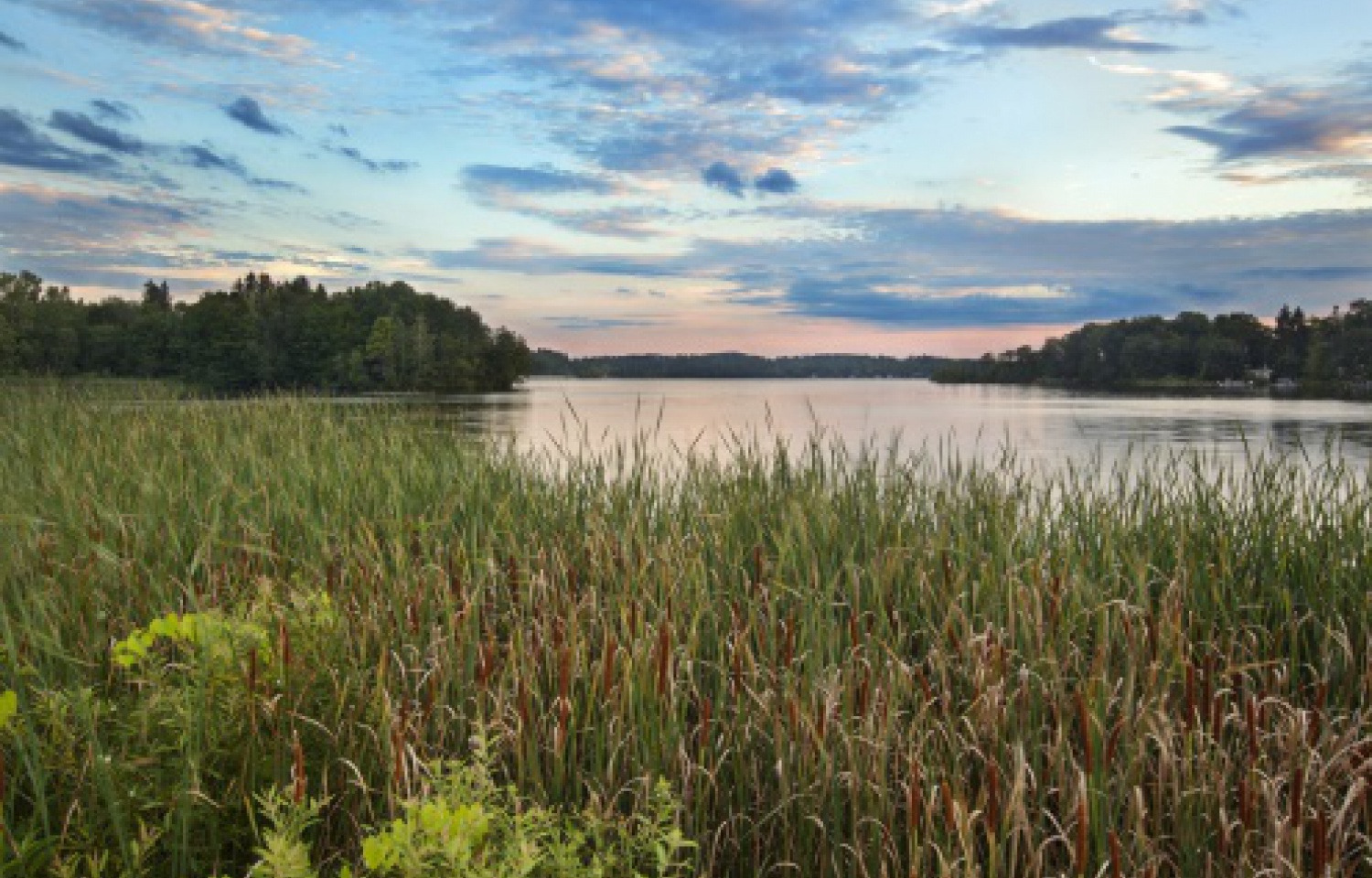 wetland-sunset.jpg