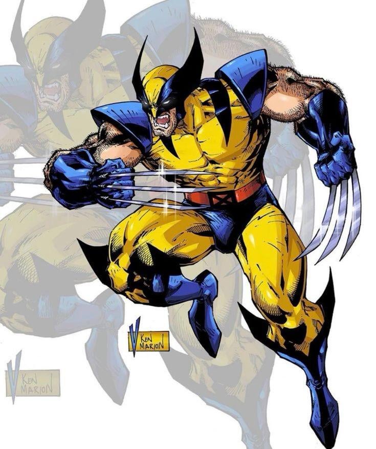 what-makes-wolverine-such-a-great-character-v0-az19mgqgnjyd1.jpeg