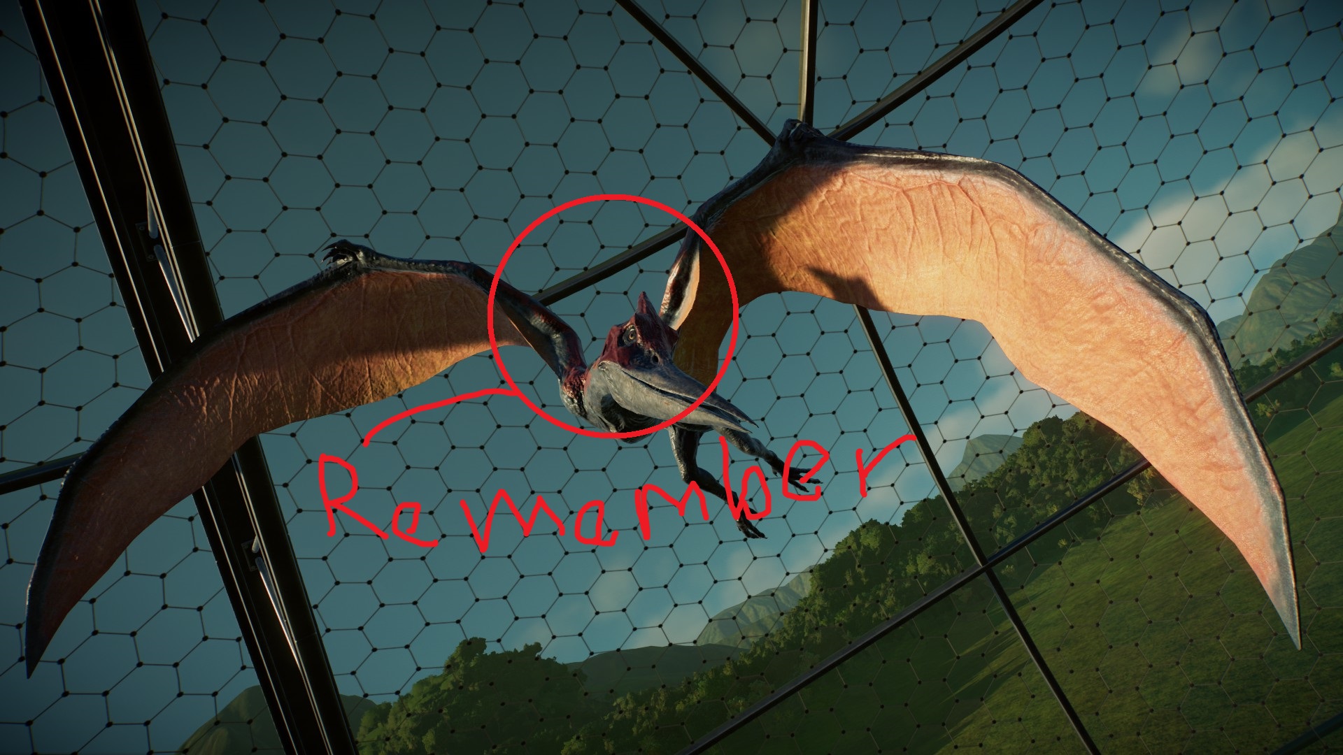 WHY!.jpg