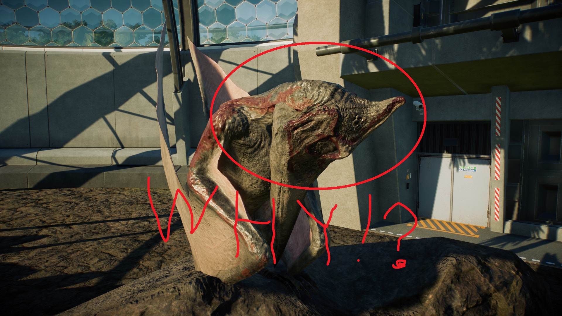 WHY.jpg