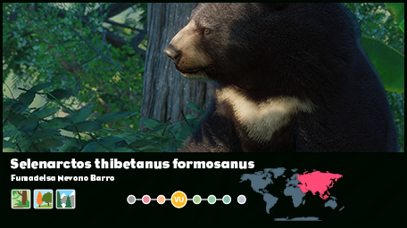 Wide - Formosan Black Bear.png