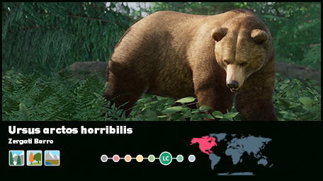 Wide - Grizzly Bear.png
