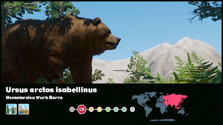 Wide - Himalayan Brown Bear.png