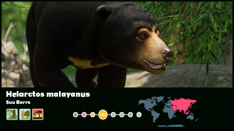 Wide - Sun Bear.png