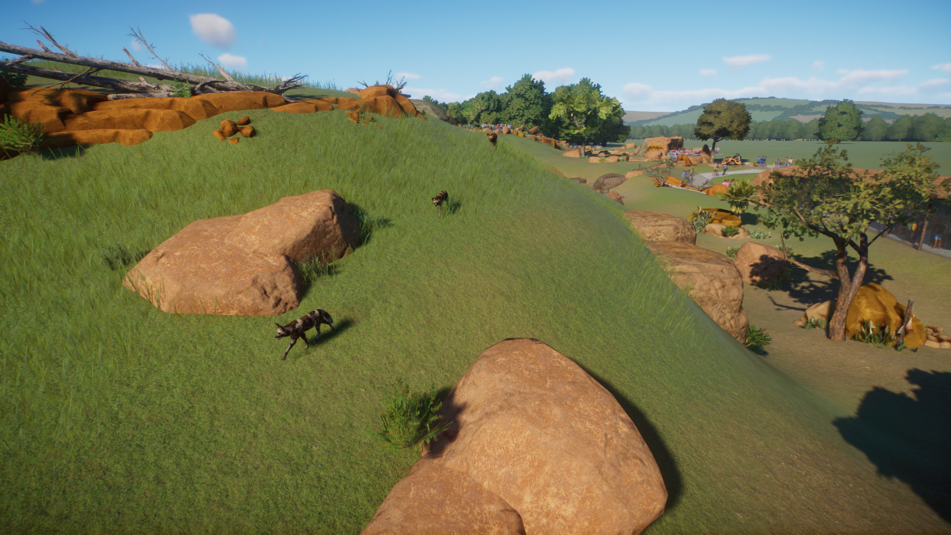 wilddoggos.jpeg