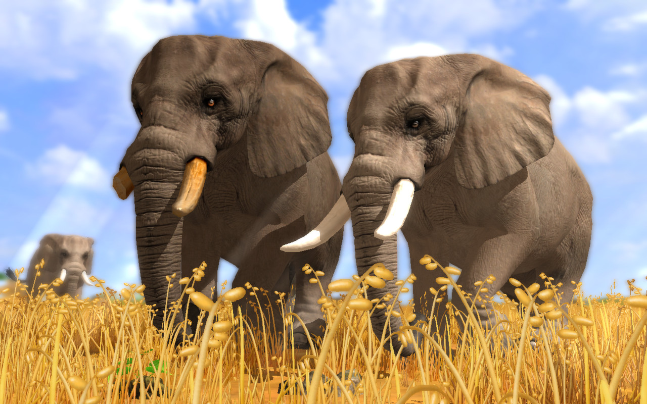 wildlife-park-3-pc-1_.jpg
