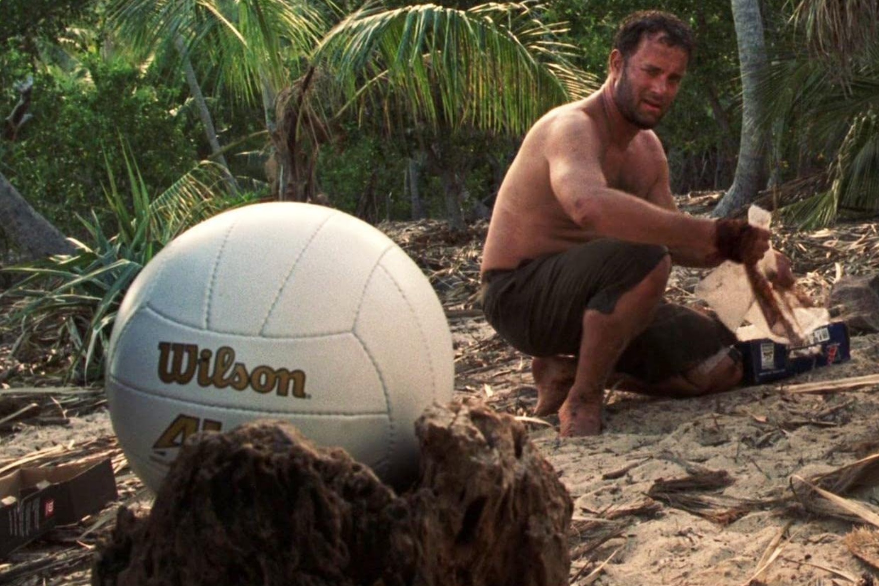 wilson.jpg
