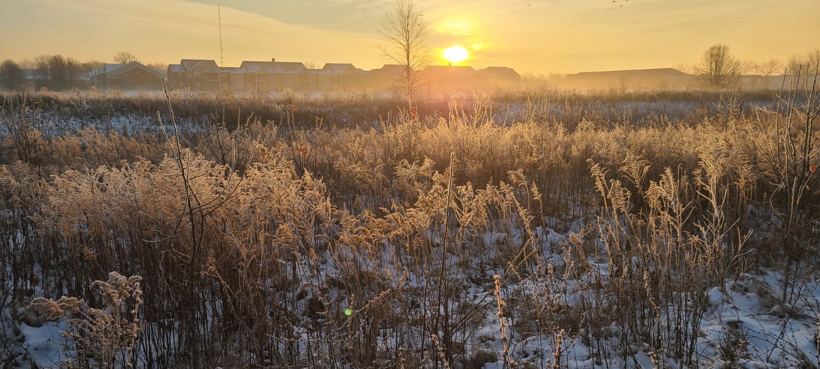 WinterLandscape.jpeg