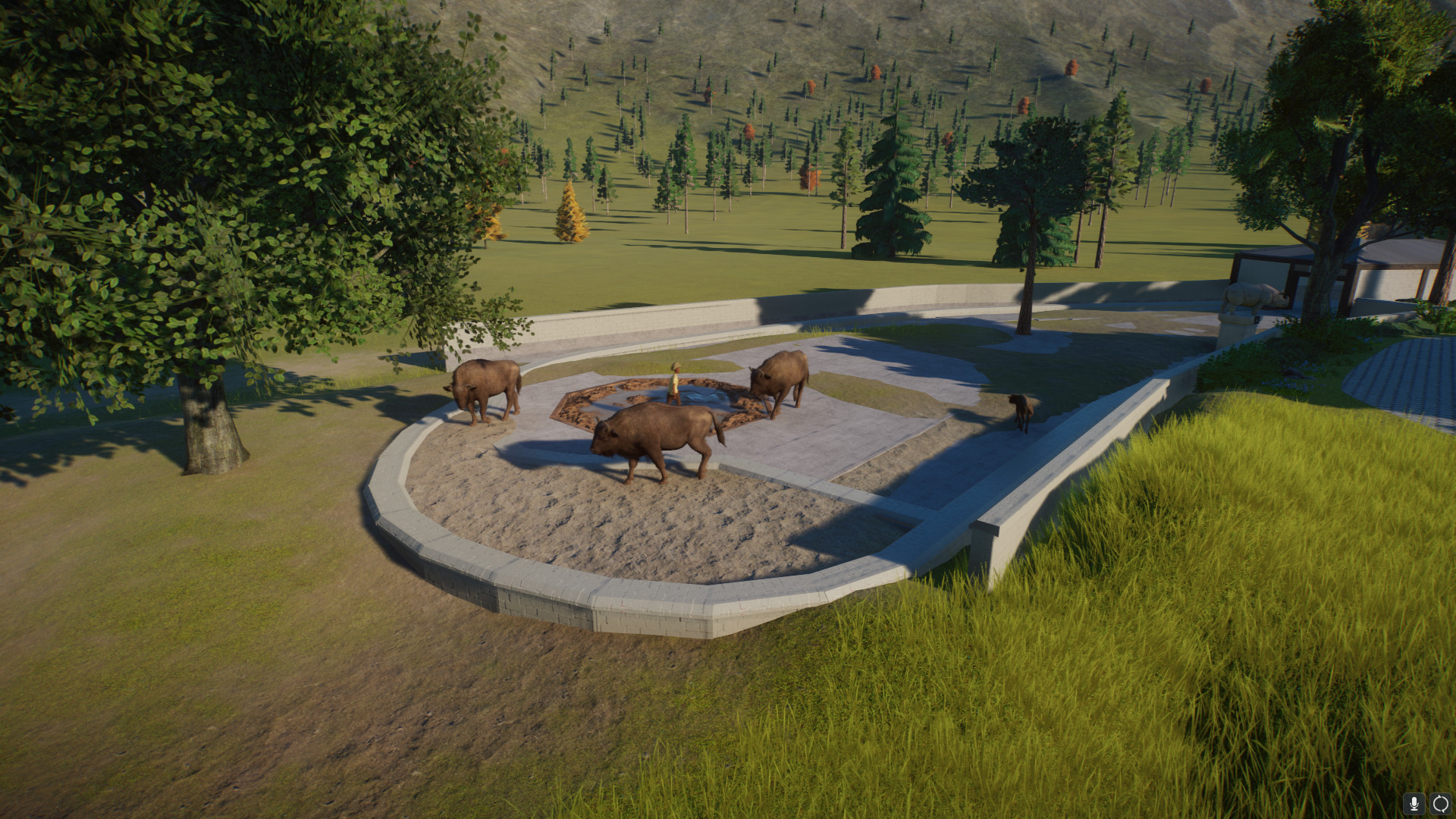 wisent10.jpeg