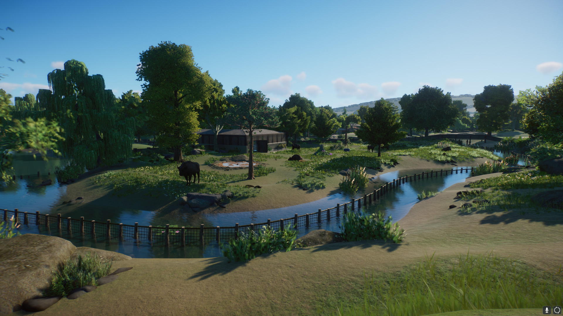 wisent3.jpeg