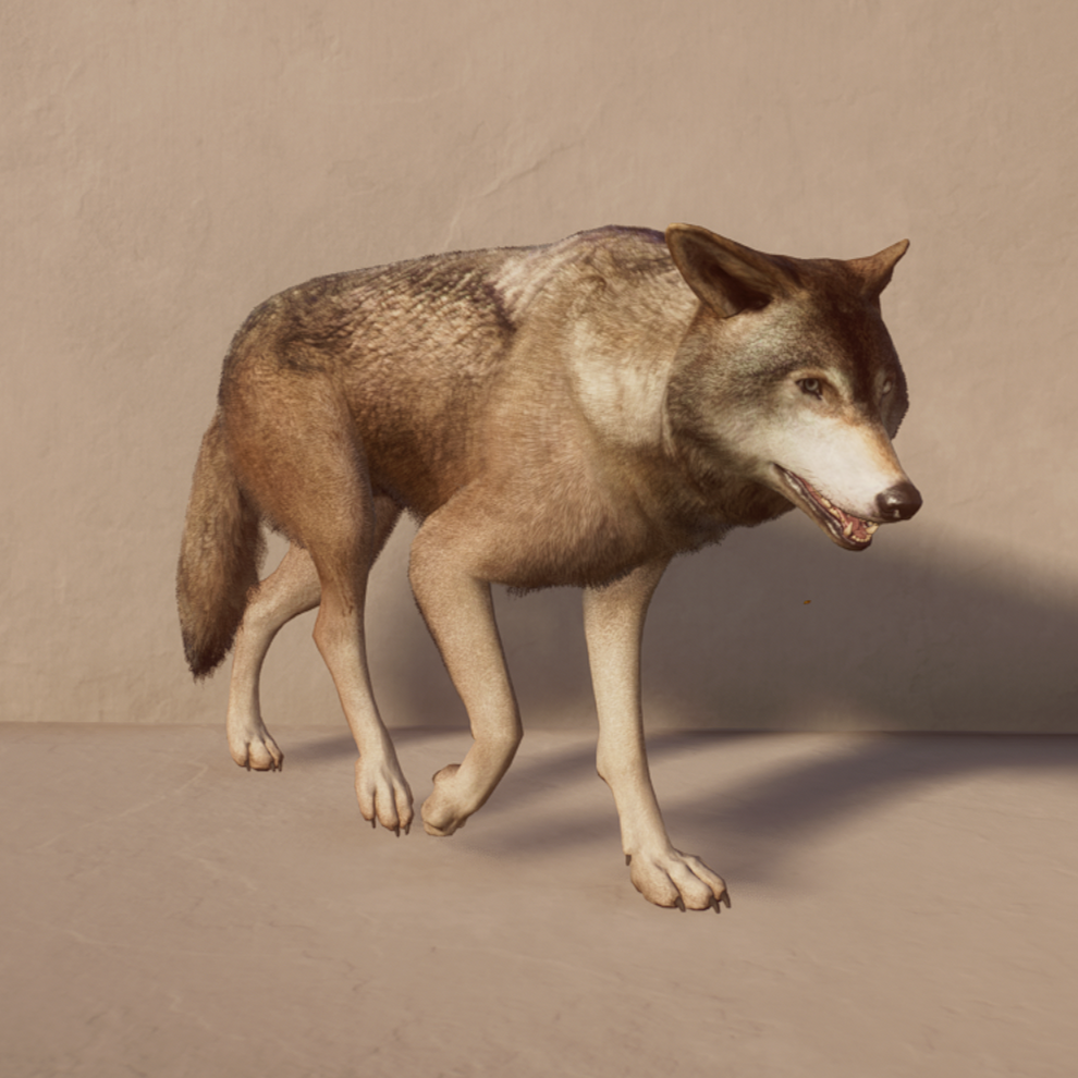 Wolf Avatar.png