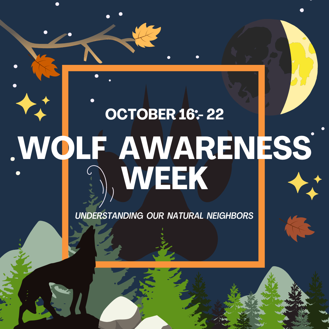 Wolf Awareness Week IG Poster.png