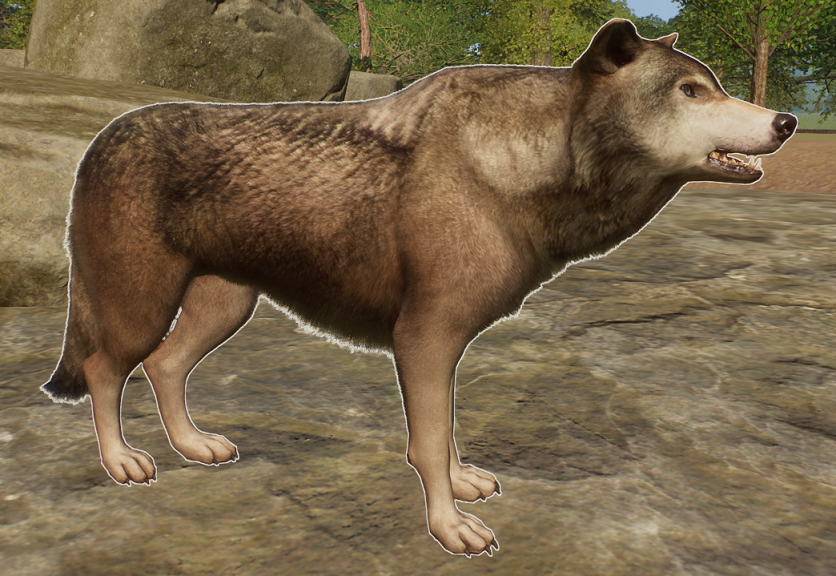 wolf grey brown with dark markings.png