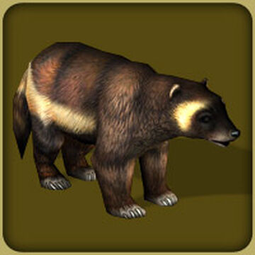 Wolverine.jpg