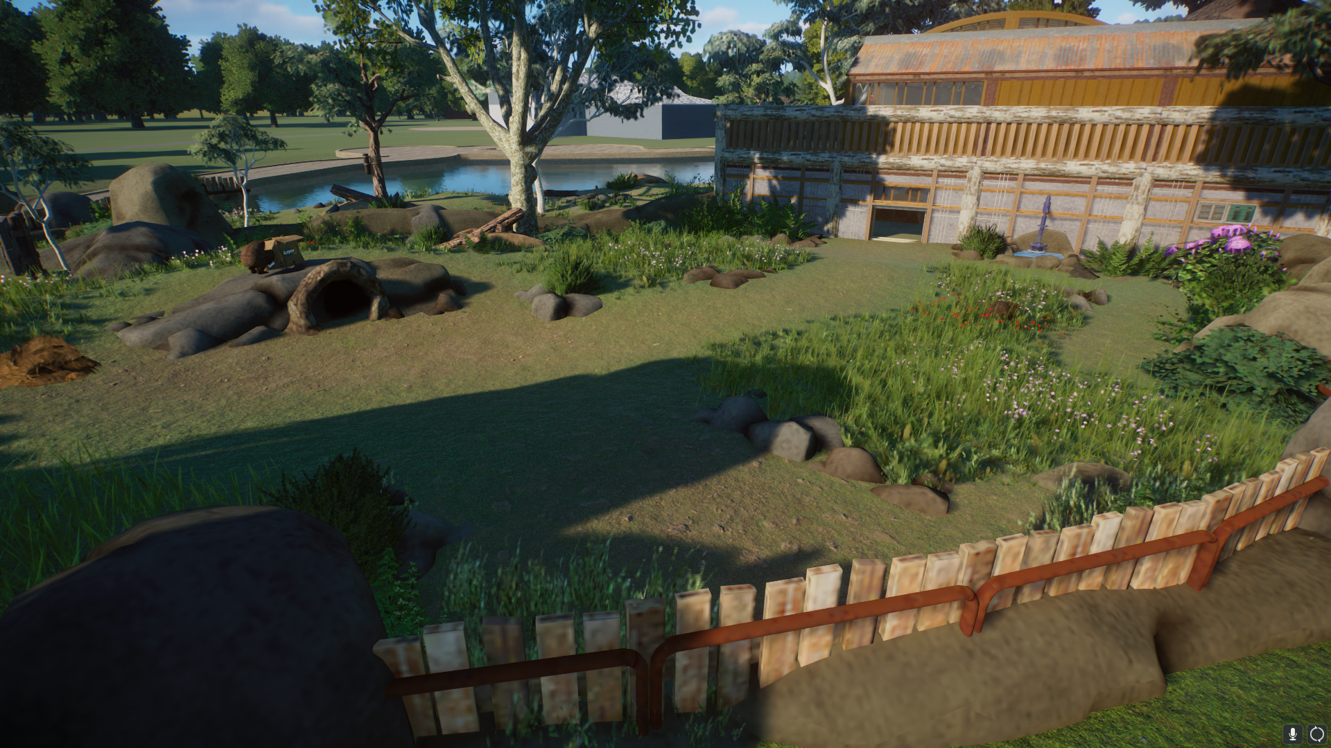 wombats.jpeg