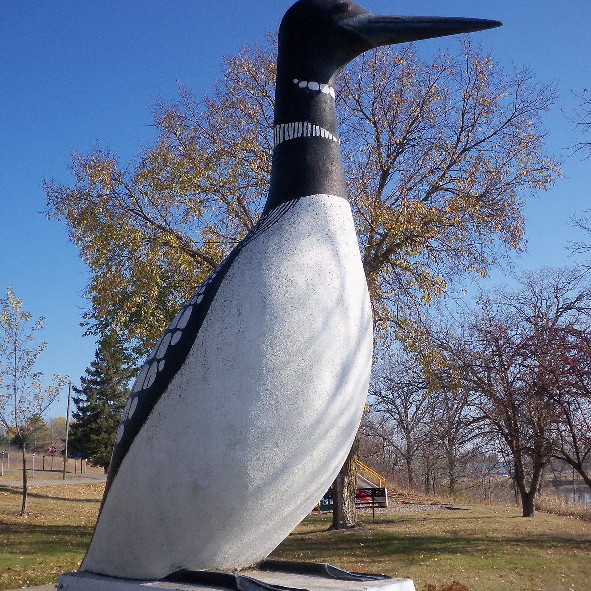 world-s-largest-loon.jpg