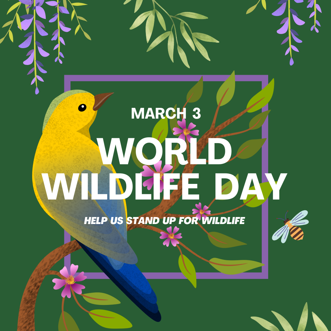 World Wildlife Day Floral IG Poster.png