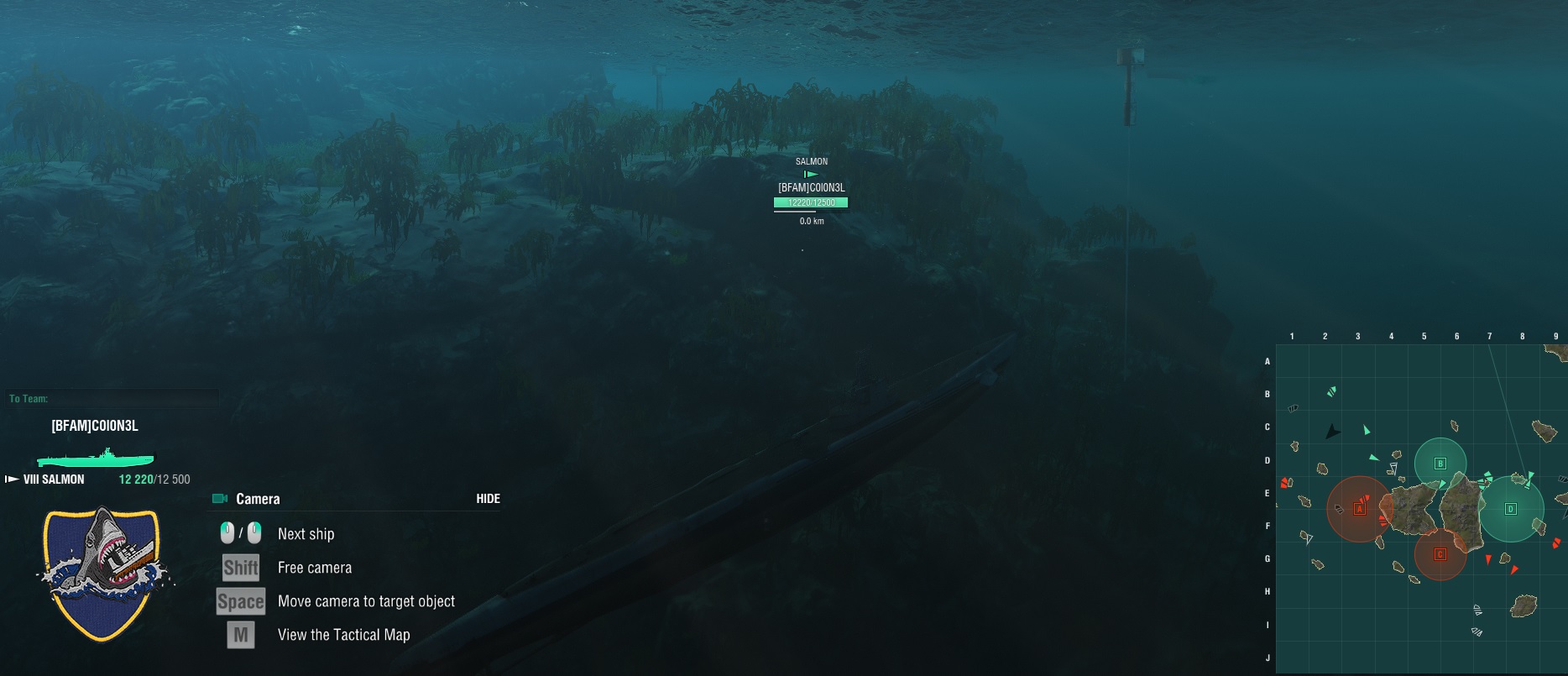 WoWs Sub UW View_Veg-1.jpg